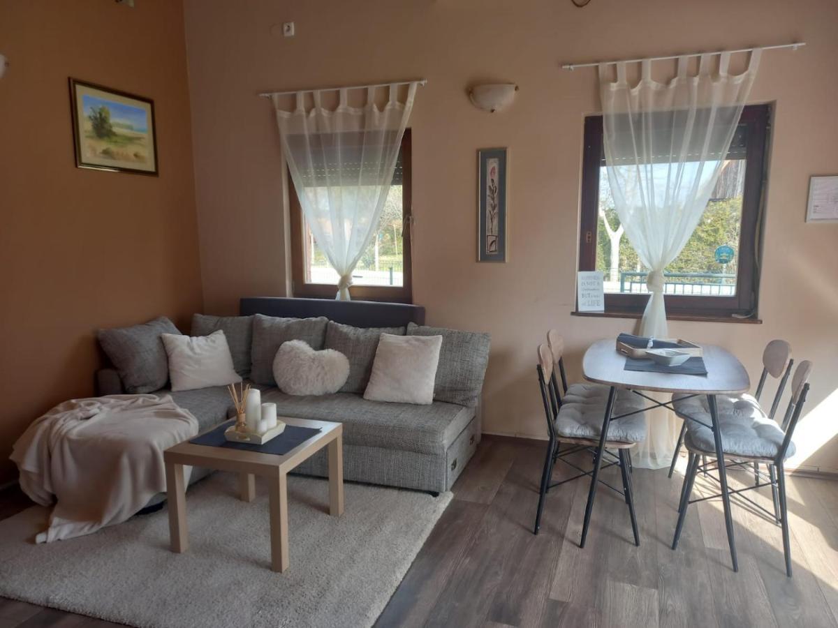 Guest House Studio Apartman Marina - With Jacuzzi, Free Parking, Pet Friendly كارلوفاتش المظهر الخارجي الصورة